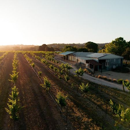 Bed In A Shed Vineyard Stay Watervale Экстерьер фото
