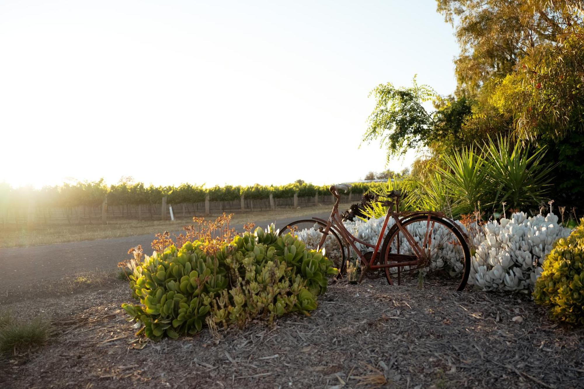 Bed In A Shed Vineyard Stay Watervale Экстерьер фото