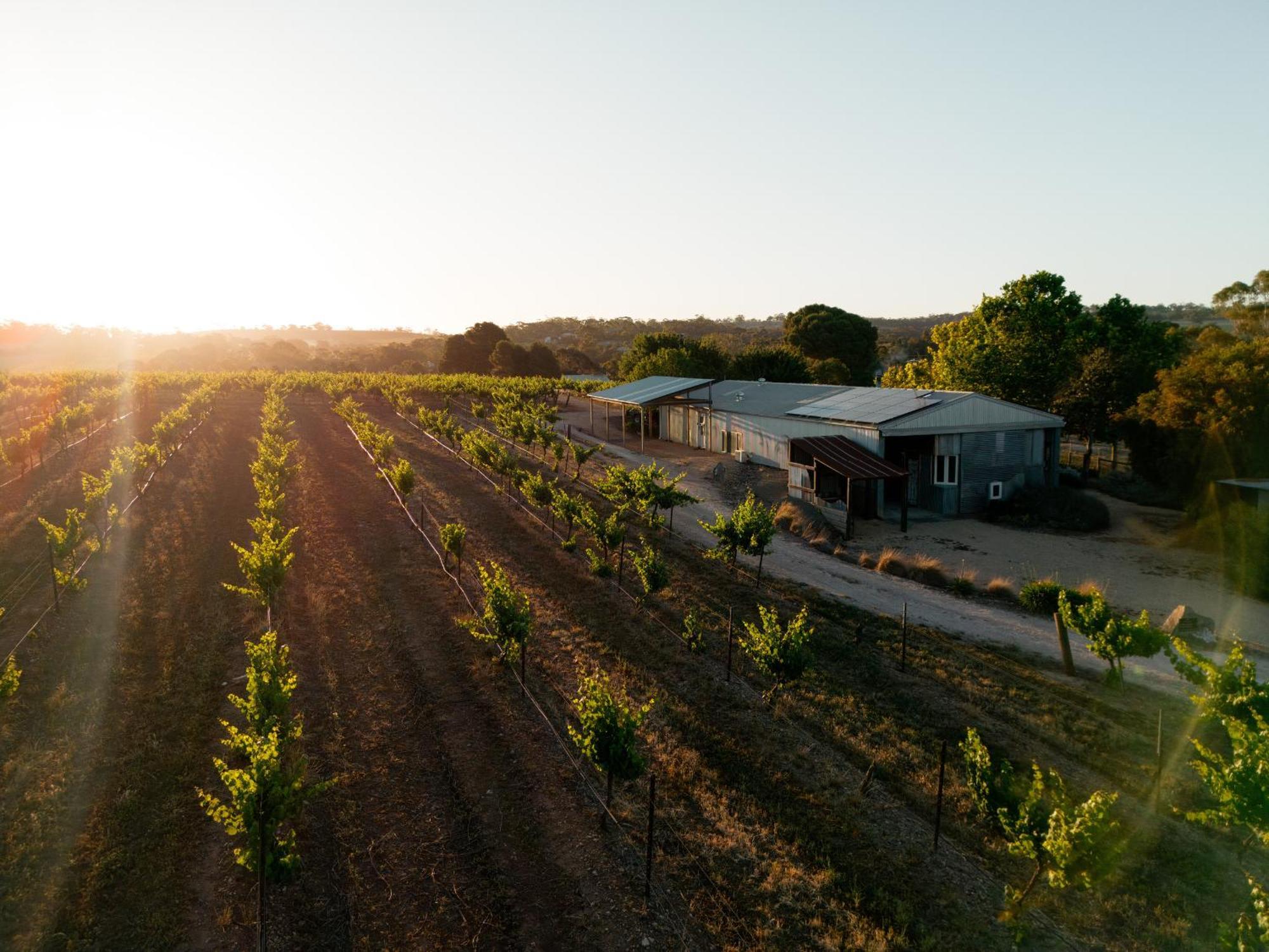 Bed In A Shed Vineyard Stay Watervale Экстерьер фото